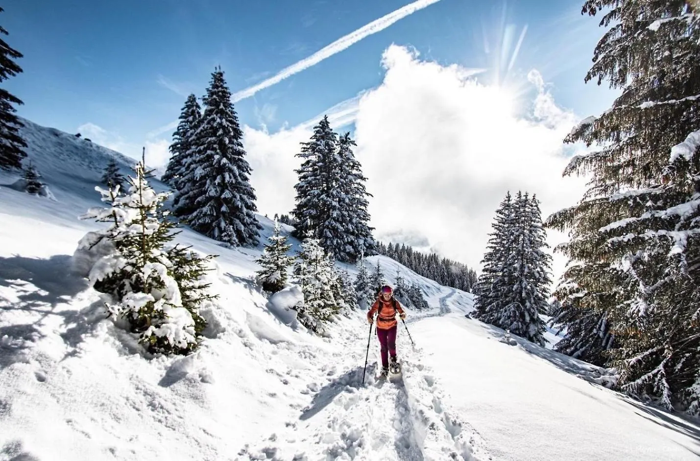 Veronica Vr76 Nature & Mountain 3 Pers Chatel Apartment
