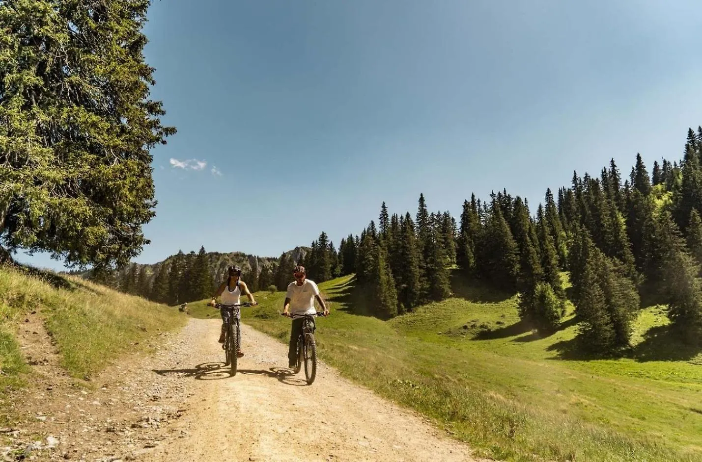Veronica Vr76 Nature & Mountain 3 Pers Chatel